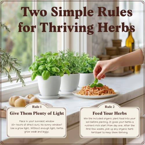 Indoor Herb Garden Starter Kit with 10 USDA Organic Seeds and Pots - Image 5
