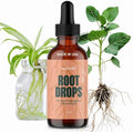 Root Drops - Liquid Rooting Hormone for Cuttings | Fast Propagation Drops, Stronger Roots, Less Shock | Works in Water, Soil, Leca, Moss| For all Indoor Houseplants like Pothos, Monstera, Philodendron by SouthsidePlants