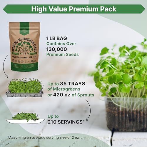 Organo Republic Broccoli Sprouting & Microgreens Seeds - Non-GMO, Heirloom Sprout Seeds Kit, 1lb Resealable Bag for & Growing Microgreens in Soil, Coconut Coir, Aerogarden & Hydroponic - Image 3