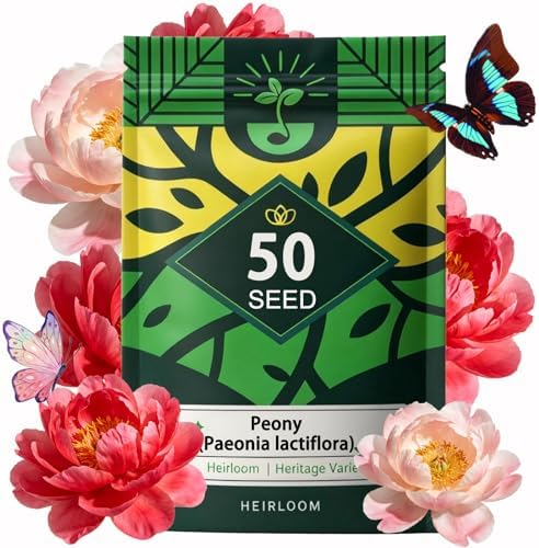 Peony Seeds, Mixed Colors Perennial Garden Flower Fragrant Blooms, 50 Seeds by Unknown