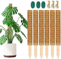 ALENEY Moss Pole, 6 Pack 17inch Monstera Plant Support Stackable Moss Poles for Plants, Coir Totem Pole Tall Moss Pole for Climbing Plants, Sphagnum, Indoor Potted Plants by ALENEY