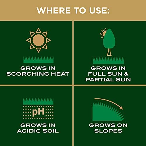 Scotts EZ Seed Patch and Repair Centipede Grass, 3.75 lb (Pack of 2) - Image 7
