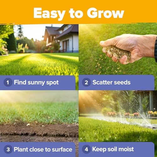 HOME GROWN 19 Wildflower Variety Mix 44,000 Flower Seeds 2 oz - Image 7