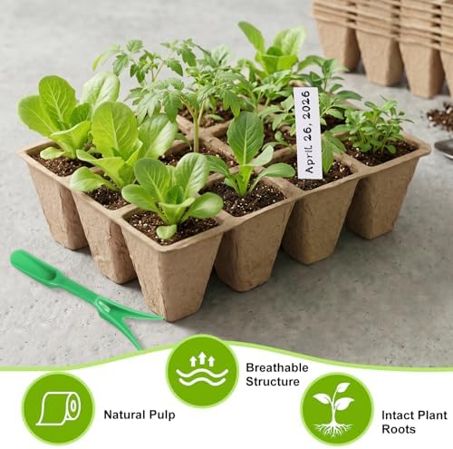 DANALLAN 20Pcs Seed Starter Tray 240 Cells Seed Starting Trays Thickened Biodegradable Seed Starter Pots Kit for Vegetables Flowers Seed Starting Planting Seeds (20) - Image 3