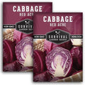 Red Acre Cabbage Seeds for Planting – Survival Garden Seeds (2 Packs) by SurvivalGardenSeeds