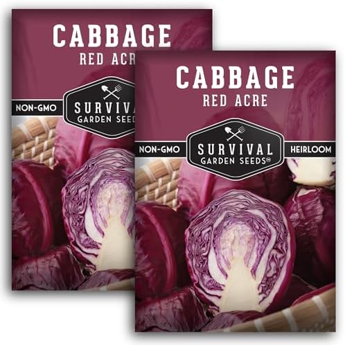 Red Acre Cabbage Seeds for Planting – Survival Garden Seeds (2 Packs) by SurvivalGardenSeeds