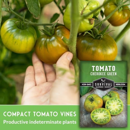 Cherokee Green Tomato Seeds for Planting - 5 Packs - Image 3