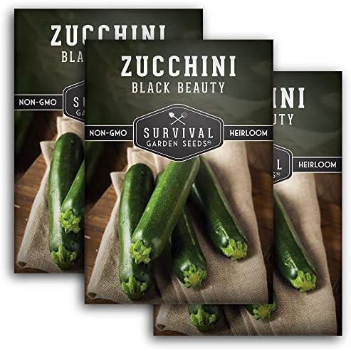 Black Beauty Zucchini Seeds for Planting - 3 Packs by SurvivalGardenSeeds