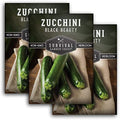 Black Beauty Zucchini Seeds for Planting - 3 Packs by SurvivalGardenSeeds
