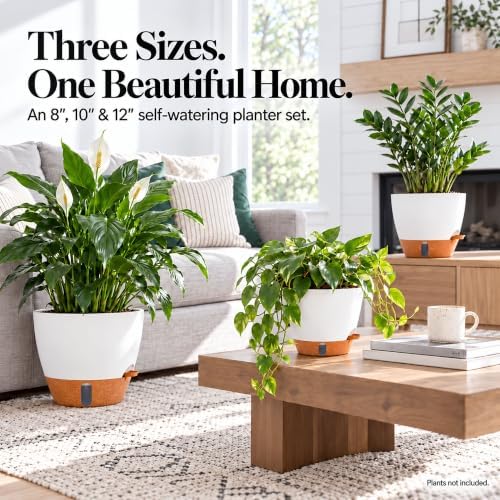 8/10/12 Inch Self Watering Pots for Indoor/Outdoor Plants - Image 3