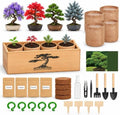 Bonsai Tree Starter Kit for Gardening Lovers Beginners by BuggyBeds