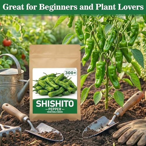300+ Japanese Shishito Pepper Seeds for Planting, High Germination - Image 7
