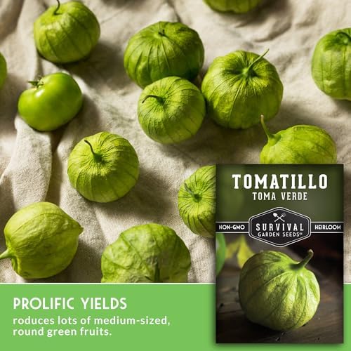 Toma Verde Tomatillo Seeds for Planting - 3 Packs - Image 5