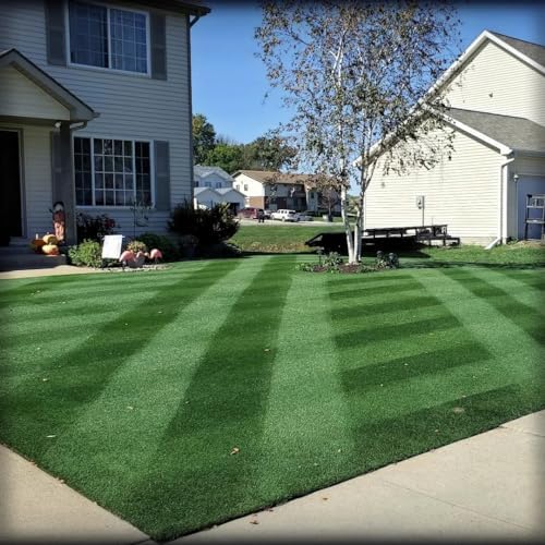 Lesco Double Eagle Rye Grass Seed - (50 lbs.) Used for Overseeding Bermuda Grass. 100% Turf-Type Perennial ryegrass-3 Varieties ***Non-Returnable*** - Image 2