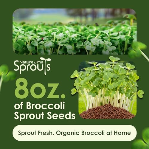 Nature Jims – Organic Broccoli (8oz) & Alfalfa (16oz) Sprouting Seeds, Non-GMO Microgreens for Indoor/Outdoor Gardening, Rich in Vitamins, Minerals & Nutrients Bundle - Image 2