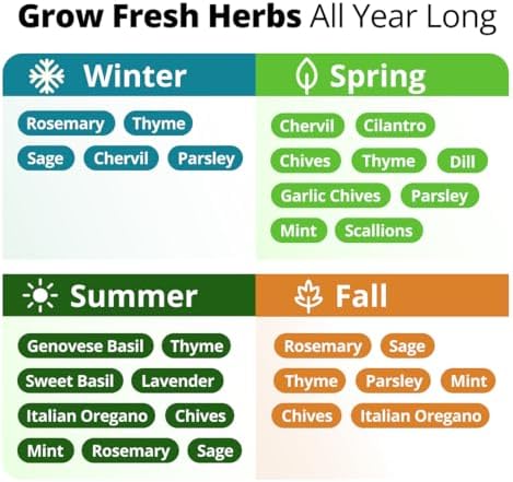 HOME GROWN 15 Herb Seed Variety Kit, 4,300+ Seeds, Culinary Herb Kit - Image 4