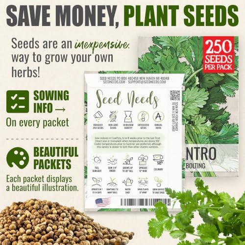 Seed Needs Slow Bolt Cilantro Seeds to Plant an Herb Garden - 5 Packs - Image 3
