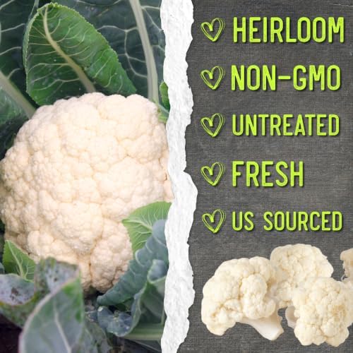 Seed Needs Snowball Y Improved Cauliflower Seeds to Plant Heirloom 2 Packs - Image 6