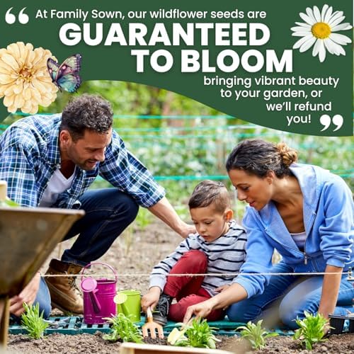 Drought Tolerant Mix – 22,000 Seeds for Planting – 2026 Season – 1 Ounce Pouch - Image 7