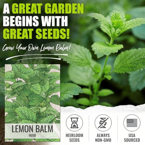Seed Needs Lemon Balm Seeds to Plant an Herb Garden - 2 Packs - Image 2