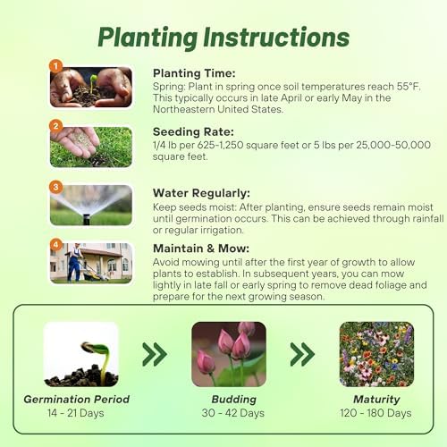 Outsidepride Northeast Wild Flower Seed Mix - 5 lbs Premium Blend of Vibrant Biennial & Annual Wildflower Seeds for Northeastern States, Ideal for Meadows, Borders & Gardens, & Attracting Pollinators - Image 5