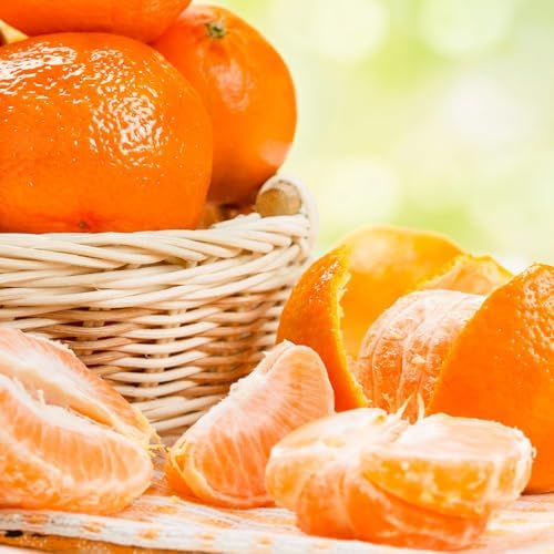 Brighter Blooms - Owari Satsuma Mandarin Tree, 1-2 ft. - Image 4