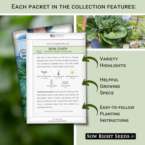 Sow Right Seeds - Hydroponic Vegetable Seeds for Planting - Lettuce, Kale, Arugula, Pak Choi, Watercress & Cherry Tomato Seeds for Planting and Growing Hydroponics - Perfect for Indoor Growing System - Image 2