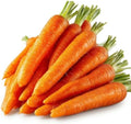 1000 Imperator 58 Carrot Seeds for Planting - Long Sweet Crisp Heirloom, Non-GMO, USA Grown by RDR Seeds by RDRSeeds