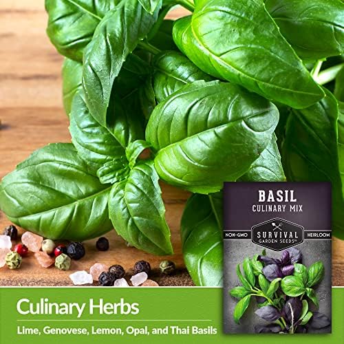 Basil Seeds Mix for Planting - Survival Garden Seeds (2 Pack) - Image 3