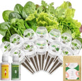 Inbloom 12-Pods Salad Greens Seed Pod Kit for AeroGarden, Ahopegarden, Gardencube, Hydroponic Garden with Spinach, Buttercrunch, Paris & American Lettuce, Swiss Chard, Arugula, Bok Choy, 400+ Seeds by inbloomgarden