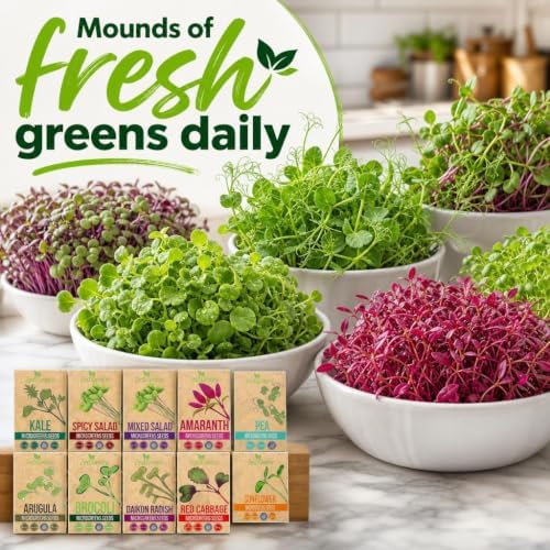 Microgreen Seeds - USA Premium 10 Variety Seeds Pack - Image 7