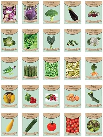 Set of 25 Super Food Seed Packets – Ultimate High-Yield, Nutrient-Dense Vegetable Varieties for Healthy Home Gardens – Non-GMO, Heirloom Seeds by FreedomFarms