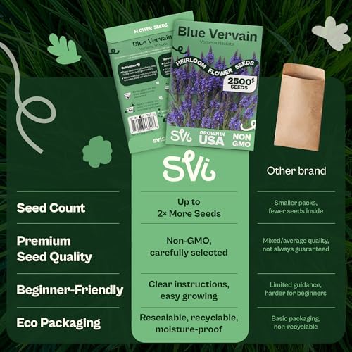 SVI 2500 Blue Vervain Seeds (Verbena hastata) – Vervain Herb, Verbena Seed Packets Bulk – Tall Wildflower, Native Perennial Flower Seeds Packets Outdoor Flower Garden, Meadows, Containers - Image 6