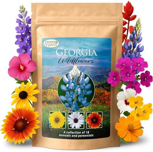 Georgia Wildflower Seed Mix – Over 35,000 Flower Seeds, Covers 300 Sq Ft by CreatedByNature