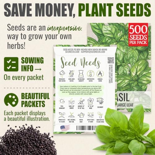 Seed Needs Italian Large Leaf Basil Seeds to Plant an Herb Garden - 10 Packs - Image 3