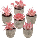 Woration 6Pcs Small Artificial Pink Succulent Set Fake Flocking Succulents Plants Potted Floral Arrangement for Shelf Office Home Desk Decorations by Woration