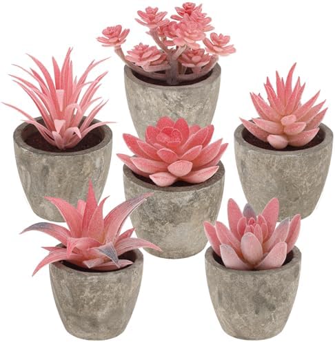Woration 6Pcs Small Artificial Pink Succulent Set Fake Flocking Succulents Plants Potted Floral Arrangement for Shelf Office Home Desk Decorations by Woration