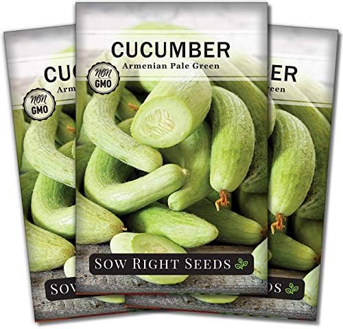 Sow Right Seeds - Armenian Pale Green Cucumber Seeds for Planting - Non-GMO Heirloom Packet with Instructions to Plant and Grow a Home Vegetable Garden - Yard Long Variety for Outdoors (3) by SowRightSeeds