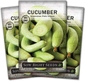 Sow Right Seeds - Armenian Pale Green Cucumber Seeds for Planting - Non-GMO Heirloom Packet with Instructions to Plant and Grow a Home Vegetable Garden - Yard Long Variety for Outdoors (3) by SowRightSeeds