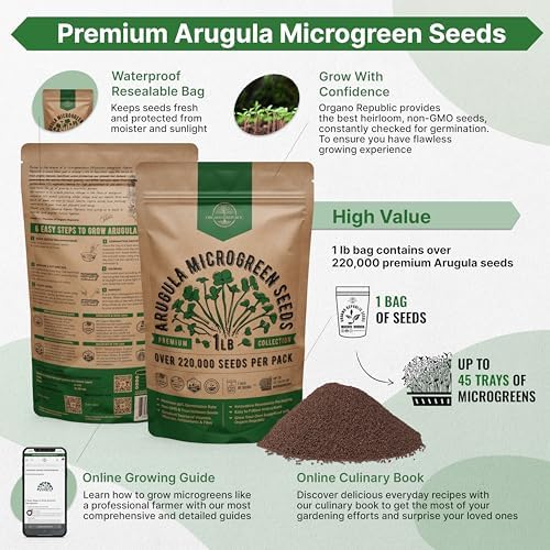 Organo Republic Arugula Sprouting & Microgreens Seeds - Non-GMO, Heirloom Sprout Seeds Kit, 1lb Resealable Bag for & Growing Microgreens in Soil, Coconut Coir, Aerogarden & Hydroponic System. - Image 2