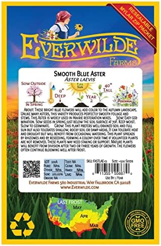 Everwilde Farms - 500 Smooth Blue Aster Native Wildflower Seeds - Gold Vault Seed Packet - Image 2