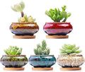 Cute Ceramic Succulent Garden Pots, Planter with Drainage and Attached Saucer, Set of 5 -Plants Not Included (Burner) by LamDawn