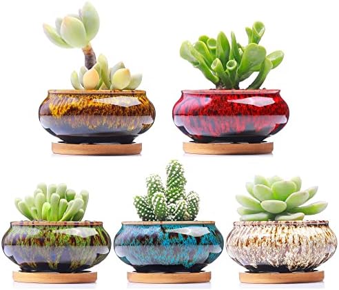 Cute Ceramic Succulent Garden Pots, Planter with Drainage and Attached Saucer, Set of 5 -Plants Not Included (Burner) by LamDawn