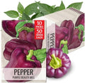 Seed Needs Purple Bell Pepper Seeds to Plant Vegetables - 10 Packs by SeedNeeds