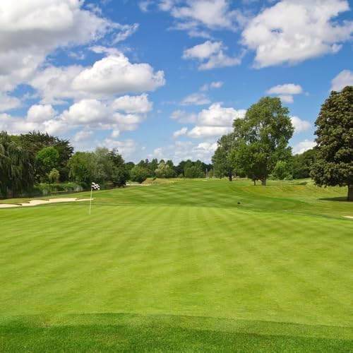 Creeping BentGrass Seeds, 1 Pound Pack of Pure Seeds by Seeds2Go - Image 3