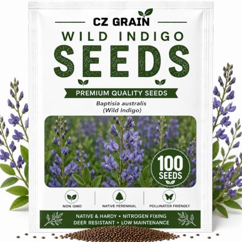 Wild Indigo Bush Seeds for Planting, Native Shrub, 100 Premium Seeds by CZGrain
