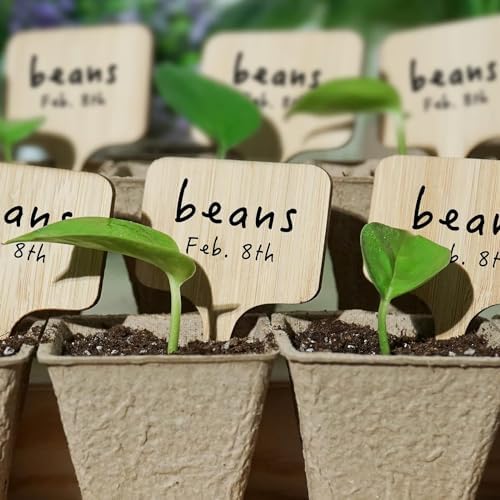 OBTANIM 75 Pack Bamboo Rectangle Plant Labels with A Marker Pen, Garden Markers Sign Plant Tags for Seedling Potted Herbs Flowers Vegetables - Image 6
