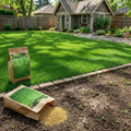 100,000 Emerald Zoysia Grass Seeds for Planting by Unknown