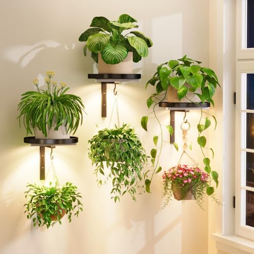 Plant Wall Hanger with Grow Lights Set of 3 for Indoor, Black by iDavosicly