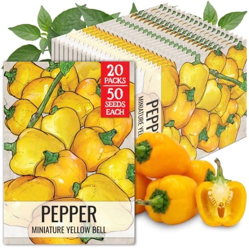 Seed Needs Mini Yellow Bell Pepper Seeds to Plant Vegetables - 20 Packs by SeedNeeds